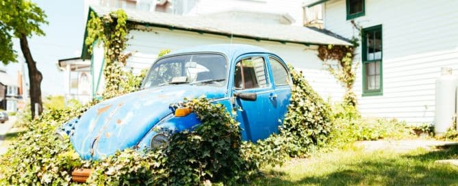 Vintage car overgrown with vines