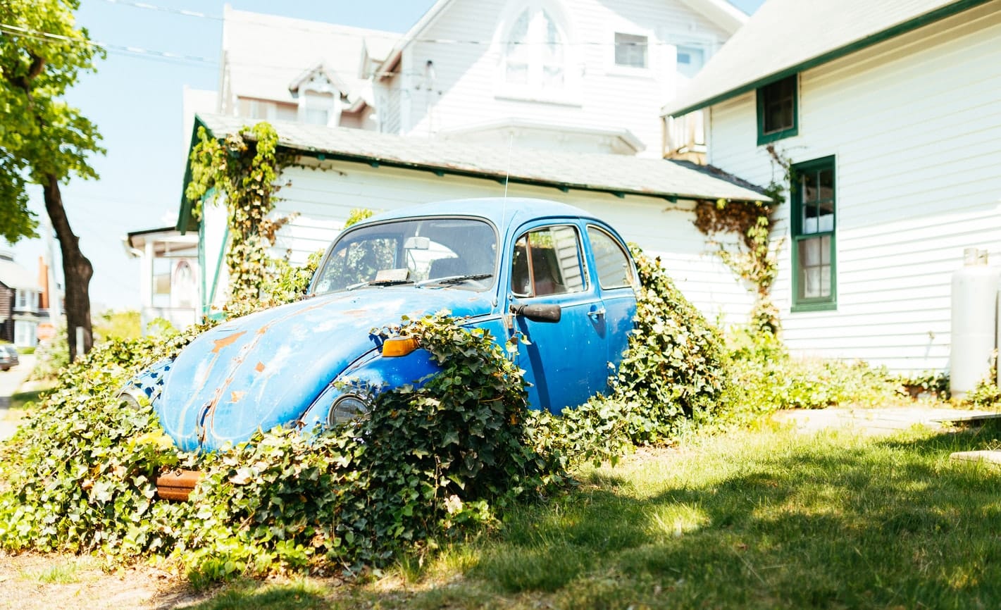 Vintage car overgrown with vines