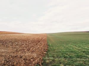 Open Field split in the middle, half dirt, half grass