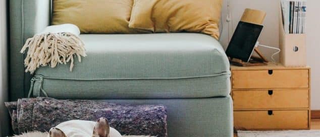 Living Room with french bulldog