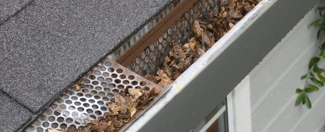 Leaf clogged gutter