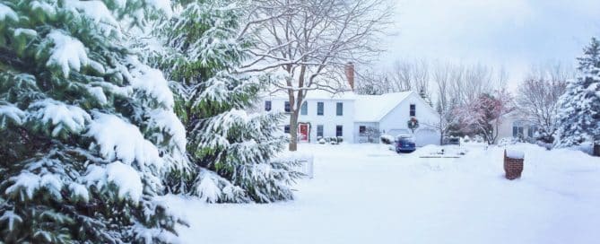 snowy lawn