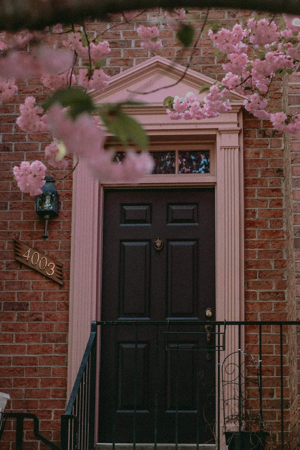 Front door with blooming pink flowers