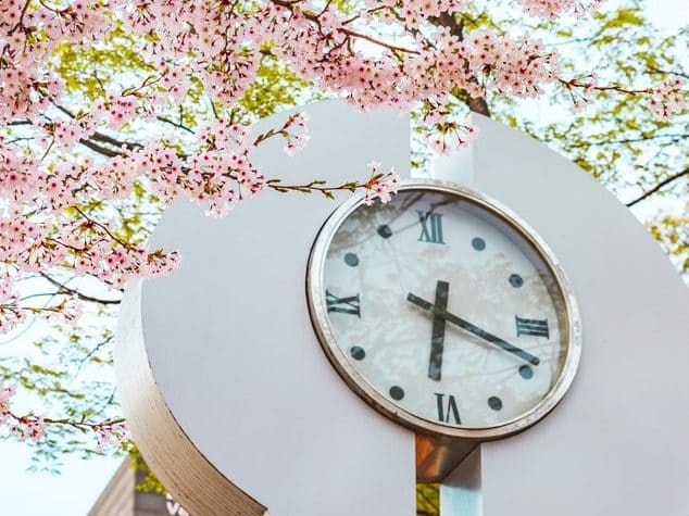 Giant outdoor clock with pink blooming flowers
