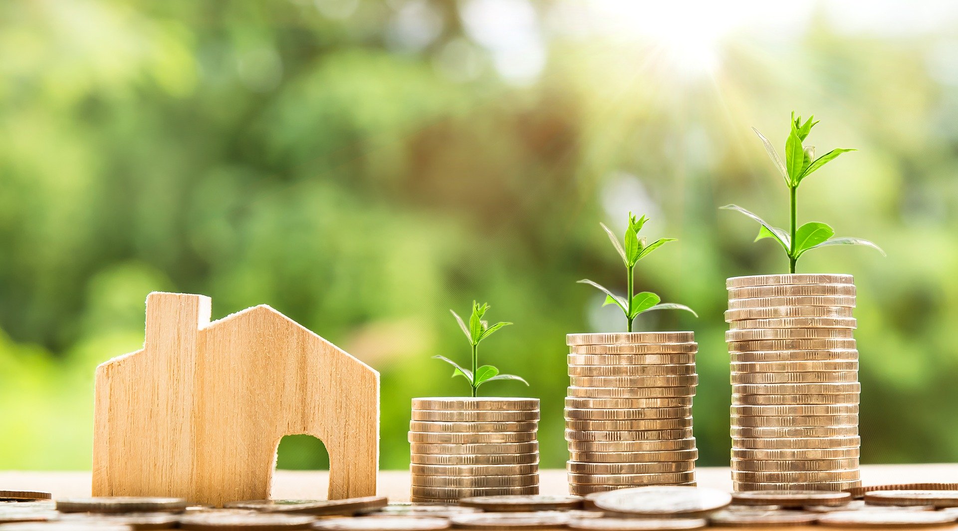 Increasing stacks of coins with sprouts growing out the top