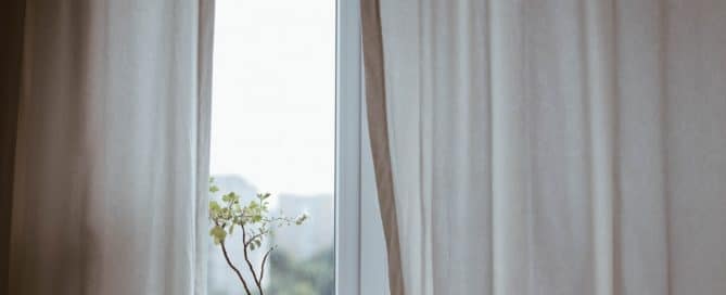 Window with plant on the sill