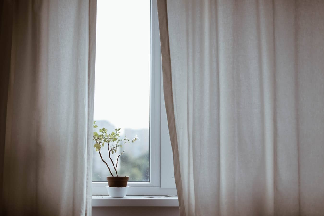 Window with plant on the sill