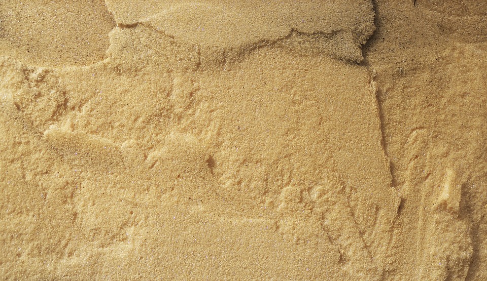 Foam