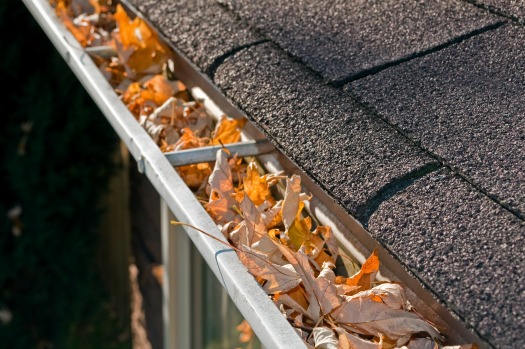Clear leaves from gutters