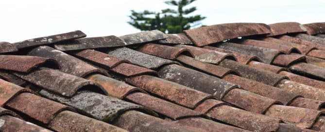 Roof Shingles
