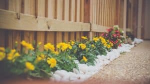 small garden flowers along fence
