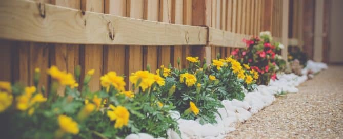 small garden flowers along fence