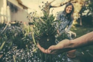 Hand holding uprooted plant with woman smiling in the background