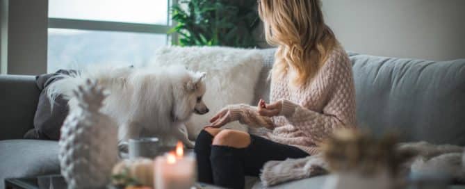 Woman sitting on the couch, interacting with her dog
