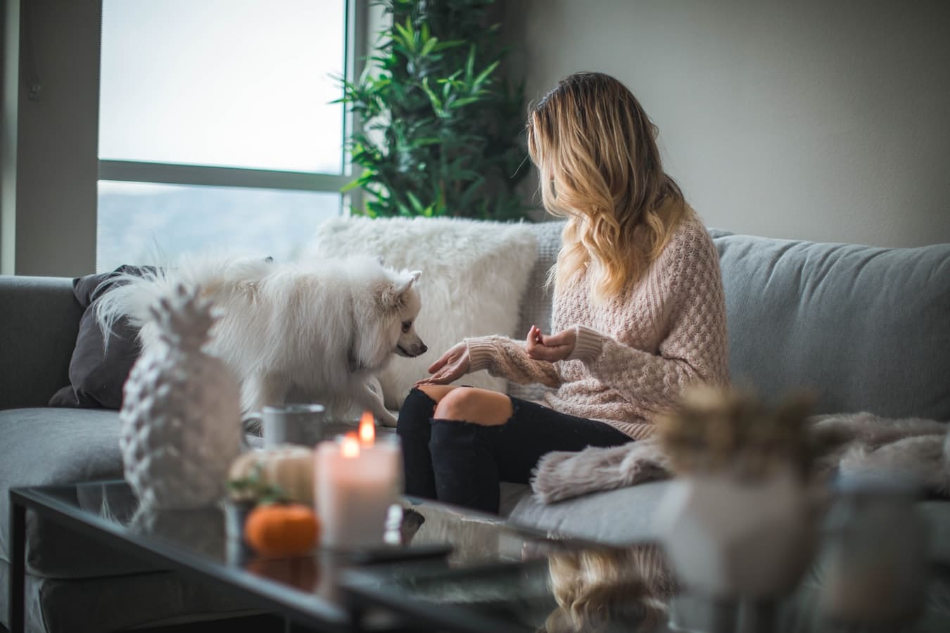 Woman sitting on the couch, interacting with her dog