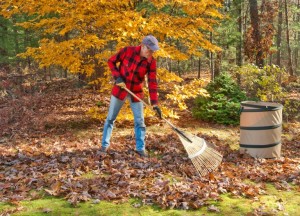 Leaf Removal Tools that Clear Yards of Fall Debris