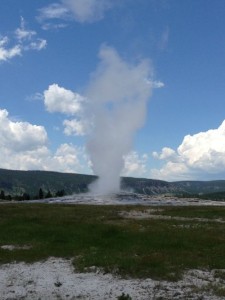 Old faithful